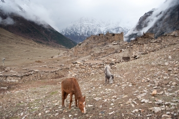 Kyang (3840 m), een voormalig Khampadorp. Foto R. Eckhardt