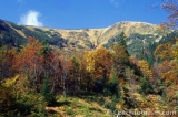Krkonoše Mountains