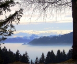 Beierse Alpen, Dorena-wm