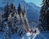 Lenzerheide.com
