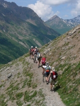 om het bergmassief Aguilette du Lauzet. Foto Nelly Geerlings