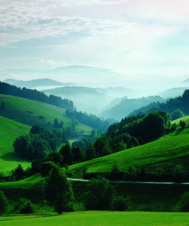 Hochschwarzwald Tourismus GmbH